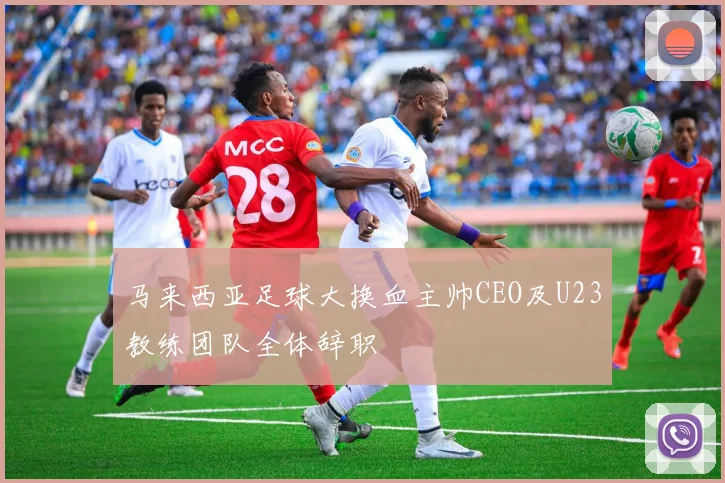 马来西亚足球大换血主帅CEO及U23教练团队全体辞职